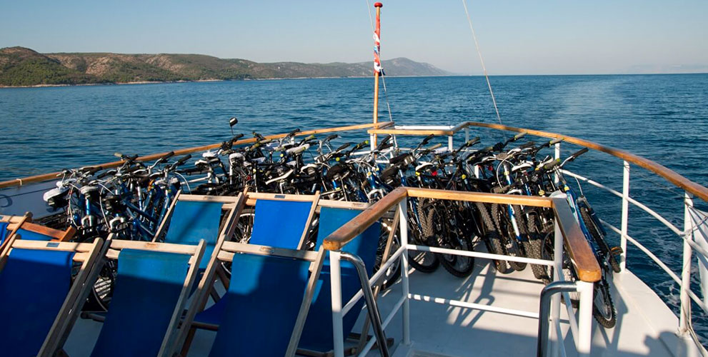 Activity Cruises