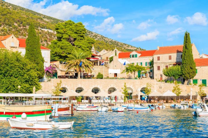 bol port brac