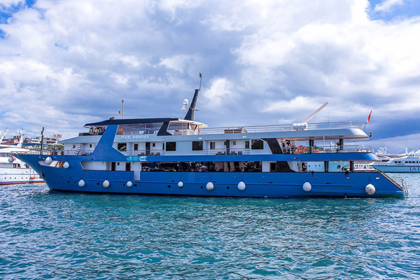 Deluxe Superior Ave Maria