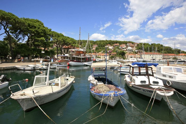jelsa