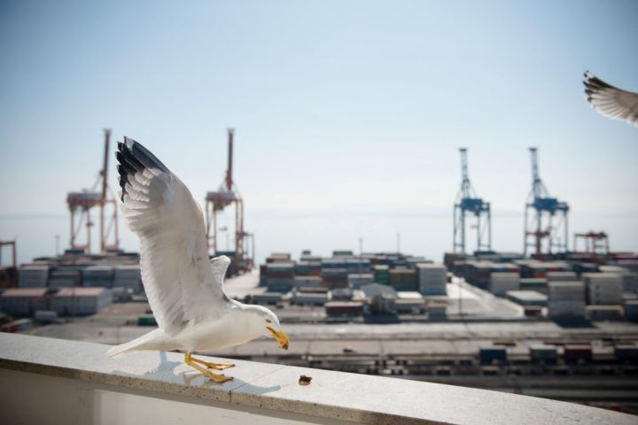 rijeka croatia port